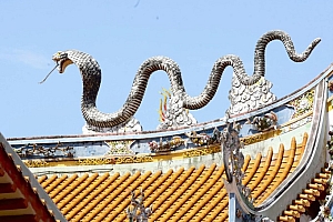 简评乙巳流年运气(戊日主)
