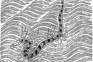 简评乙巳流年运气(壬日主)