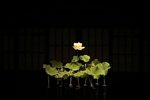 八字实例分析:食神格偏印生身,亲妈的爱更像后妈