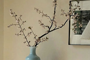 八字实例分析:夫宫丑未戌三刑用神逢空,一直为丈夫所累的女命