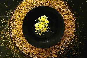 八字实例分析:正印格太旺中年一事无成,大运食伤生财即将转运的男命