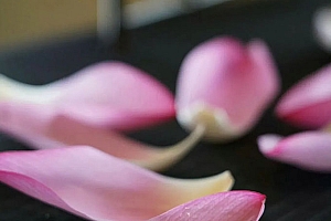 八字实例分析:婚姻宫七杀合会成印星,有福之女不去无福之家