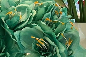 八字实例分析:七杀格天生眼疾自强不息,为女人而忍辱负重