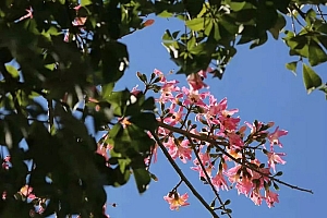 八字实例分析:身弱财旺的男命,总是跳槽却频频被辞退