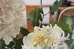 八字实例分析:比劫太旺枭神夺食,升米养恩斗米养仇