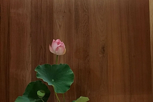 八字实例分析:官杀混杂夫宫逢冲破,九年准婚姻遭遇断崖式分手