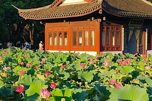 八字实例分析:偏印劫财为忌的女命,一个人的价值不取决于他人的对待方式