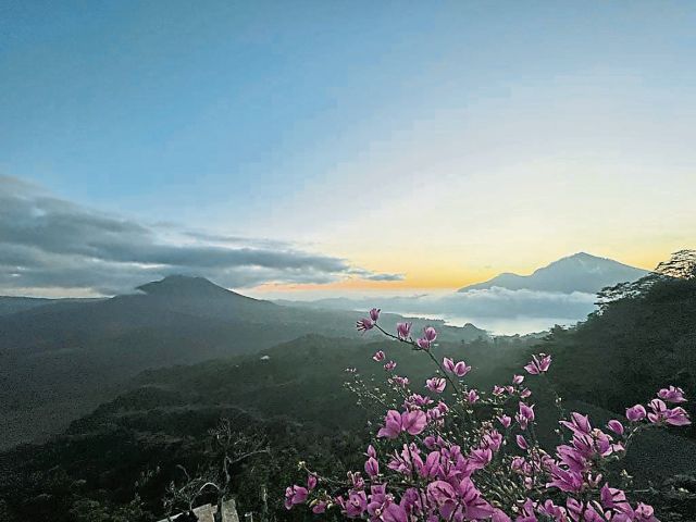 咸阳李姓女宝宝起名李晟初：晟日初生，万物生机