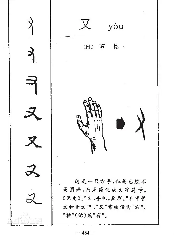 甲骨文的又字象右手形，本左右的“右”。