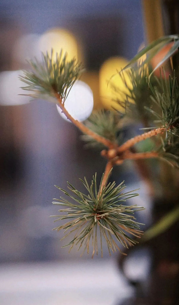 八字实例分析:组合特别的“蝴蝶双飞格”,大运不济一直浑浑噩噩