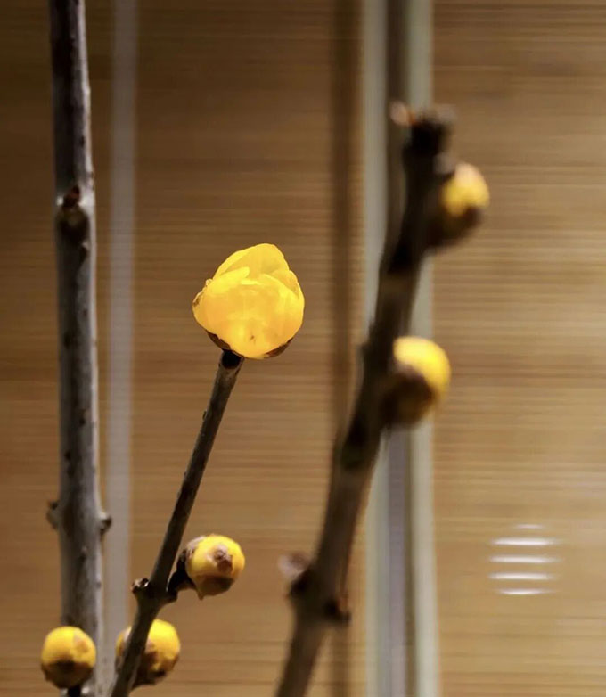 八字实例分析:财旺身弱再行财运,炒股亏钱成富屋贫人