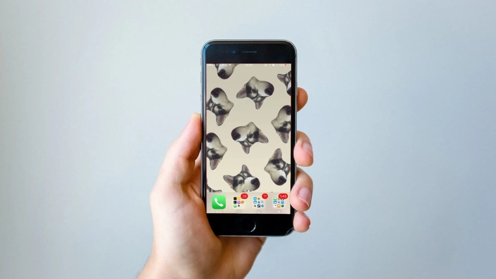 死了么APP命名引争议,本质还是文化素养不够