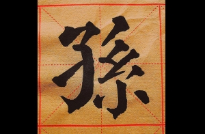 百家姓起名——孙姓起名指南